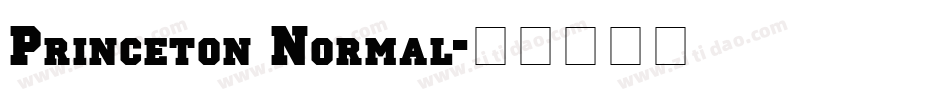 Princeton Normal字体转换